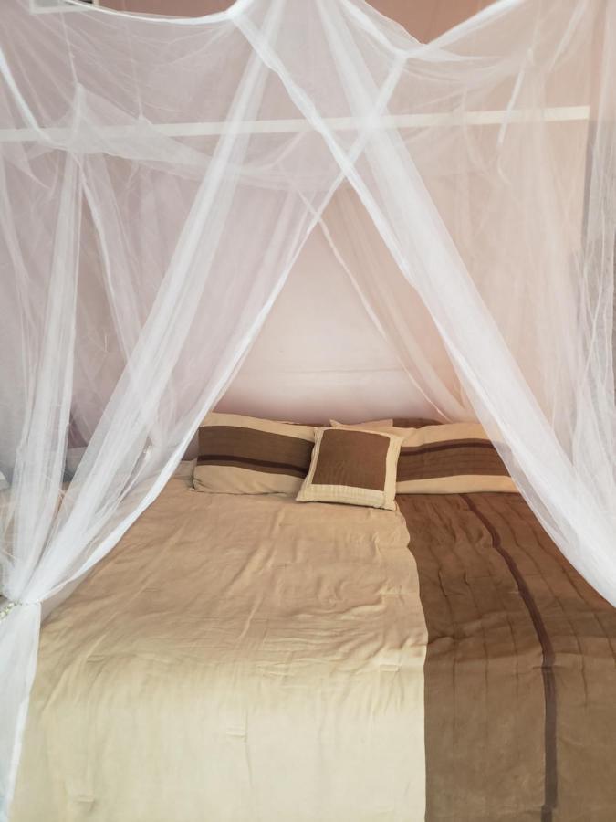 Relaxing Stay In The Country Unit 1 Ozark Luaran gambar