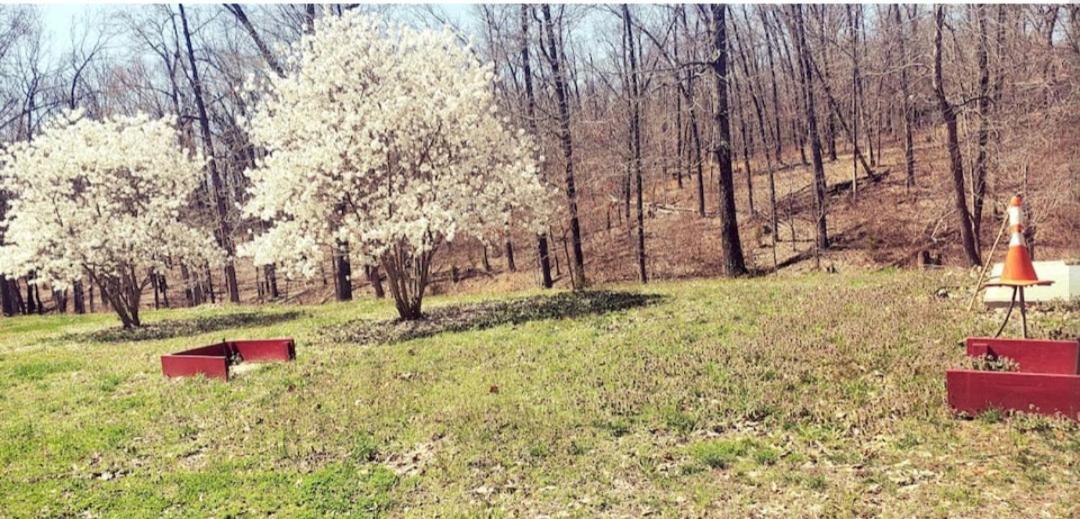 Relaxing Stay In The Country Unit 1 Ozark Luaran gambar